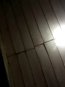 Snapshot of Elvishcassie_ chatting on 03.14.25 Elvishcassie online show from 03.14.25