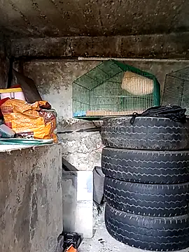 Snapshot of Elvishcassie_ chatting on 10.01.25 Elvishcassie online show from 10.01.25