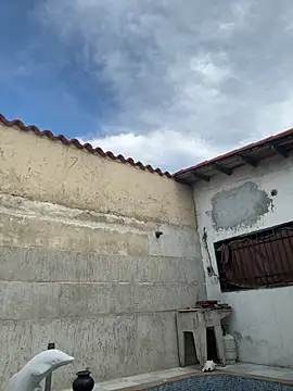 Leo bunny hot online show from 10.13.25