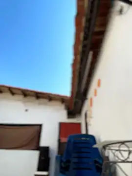 Leo bunny hot online show from 02.06.26