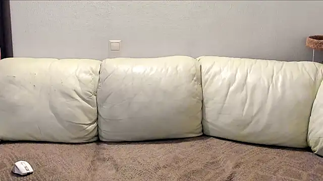 Pawsitive Panther online show from 12.02.24