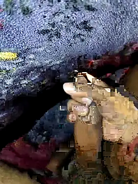 Kolkataboiy online show from 09.24.25