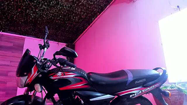 AkazaBoy  online show from 12.27.24