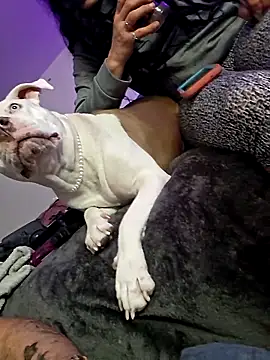 Jokergotherwett online show from 03.03.26