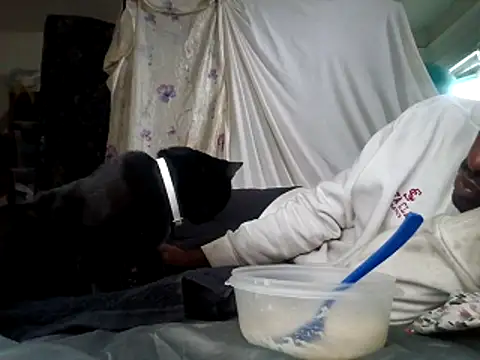 DevinToore online show from 12.15.25