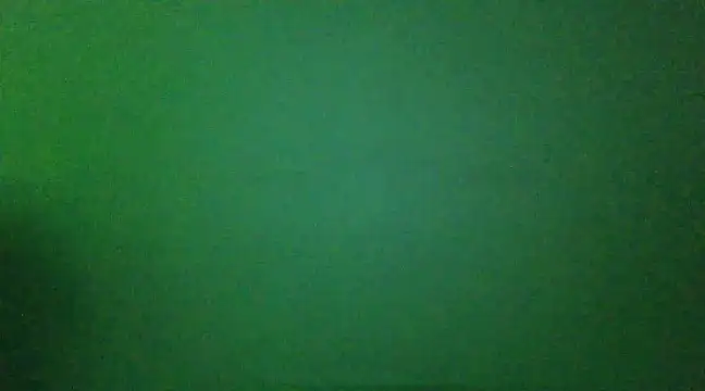 Snapshot of franciscordr chatting on 01.03.25 franciscordr online show from 01.03.25