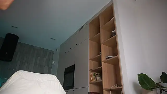 DreamSofia online show from 10.11.25