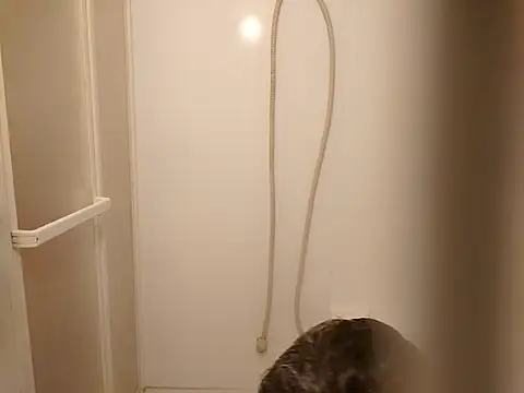 53kkkkkk online show from 03.26.26