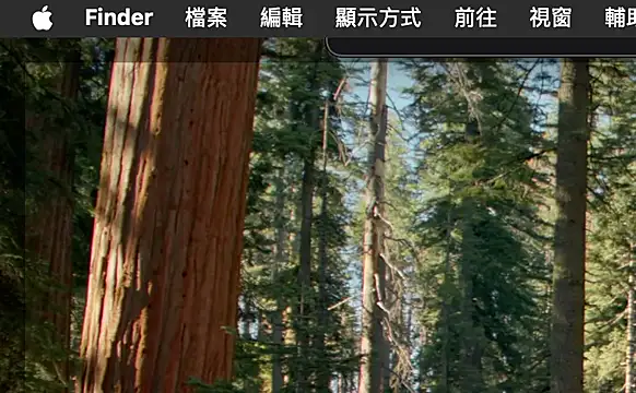 ex199212 online show from 03.08.25