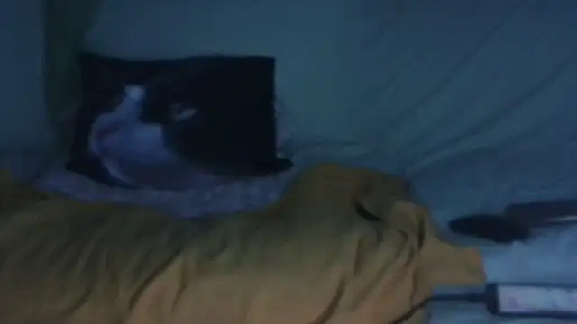 VeneRed online show from 09.17.25