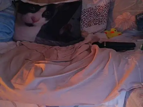 VeneRed online show from 11.30.25