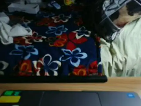 Snapshot of VeneRed chatting on 05.31.26 VeneRed online show from 05.31.26
