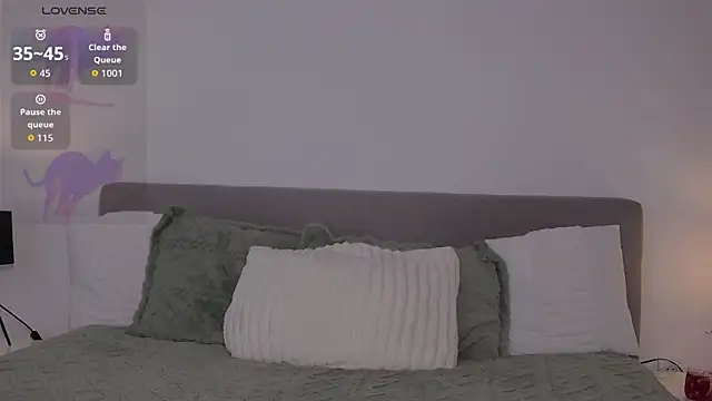 Snapshot of AllisonSky chatting on 02.04.26 AllisonSky online show from 02.04.26