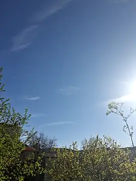 CeriseLapine online show from 03.28.26