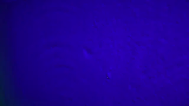 GymBoyVan online show from 02.04.26