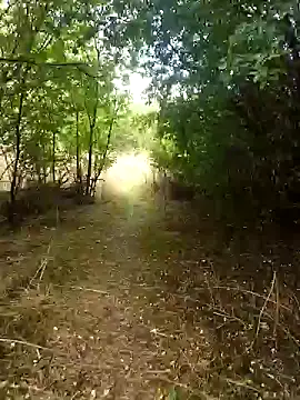 Snapshot of nataliecdlive chatting on 09.13.25 nataliecdlive online show from 09.13.25