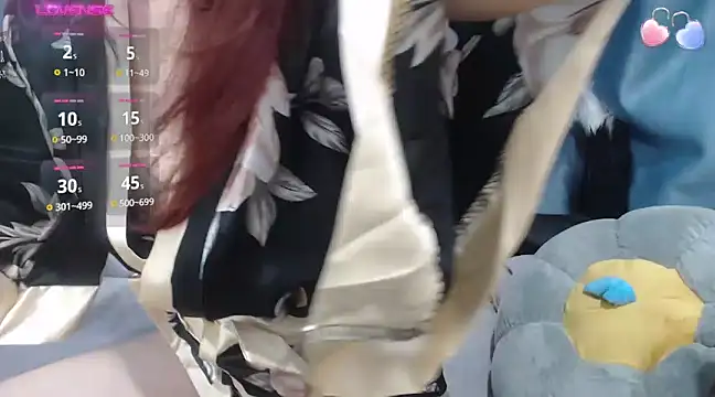 Snapshot of Hikaro-chan chatting on 01.05.25 Hikaro-chan online show from 01.05.25
