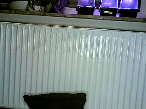 Snapshot of yola181 chatting on 02.13.25 yola181 online show from 02.13.25