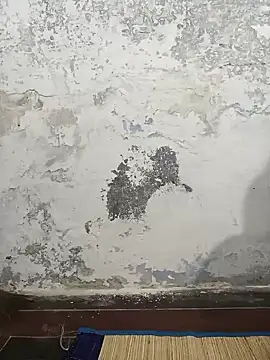 MaaliiiPonuTamil online show from 02.04.25