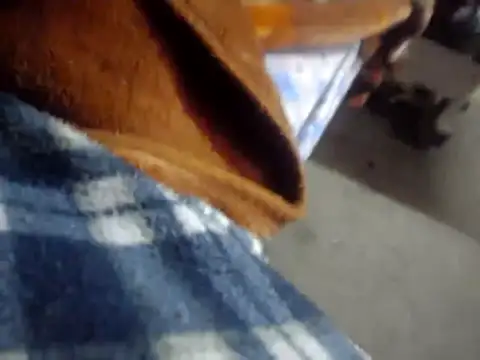 licalo56 online show from 01.12.26