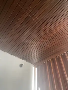 Praga Pink online show from 03.03.26