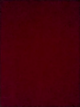 Luci foxx online show from 10.08.25