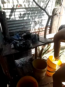 tayson  online show from 01.15.25