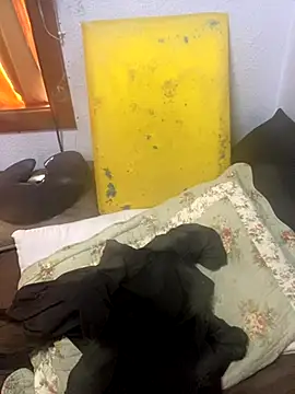 gloria7v05 online show from 11.11.25