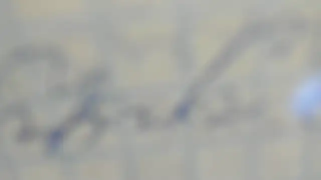 Snapshot of elis_gabbi chatting on 09.09.25 elis gabbi online show from 09.09.25