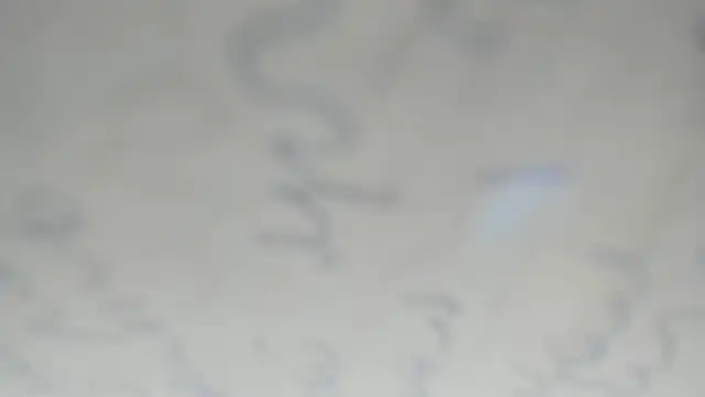 elis gabbi online show from 12.20.25