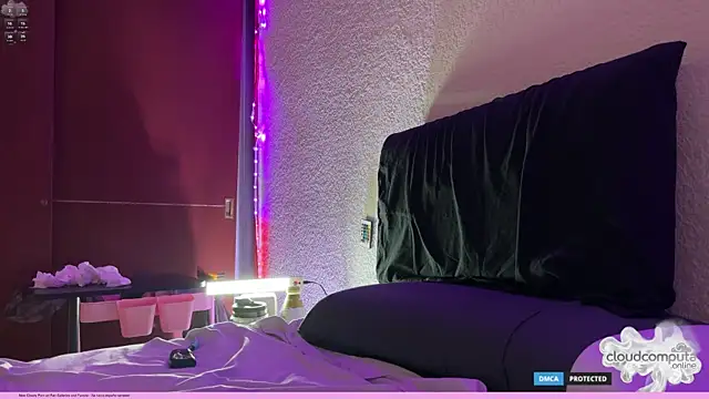 bearcloudcomputa online show from 03.02.26