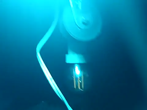 tus ordenes mis deseos online show from 04.25.26