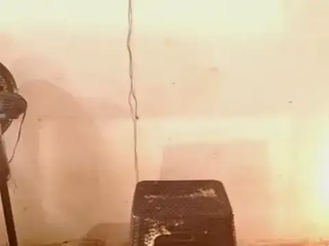 Snapshot of DiablaArdiente05 chatting on 04.29.26 DiablaArdiente05 online show from 04.29.26