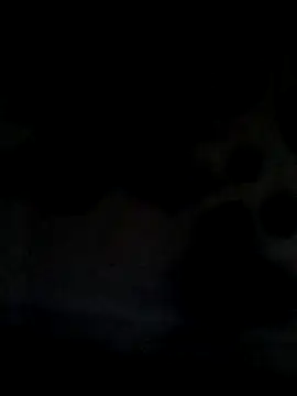 Snapshot of Leocesar37 chatting on 06.21.26 Leocesar37 online show from 06.21.26