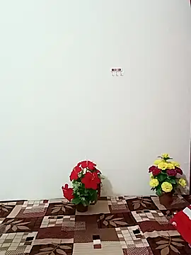 Saroj-Shah online show from 10.11.25