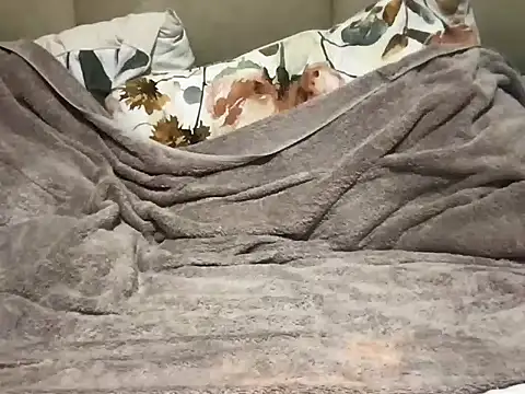 pe netrad0r online show from 03.29.26