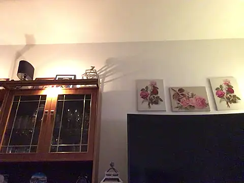 Snapshot of Hannaforyou2 chatting on 12.28.24 Hannaforyou2 online show from 12.28.24