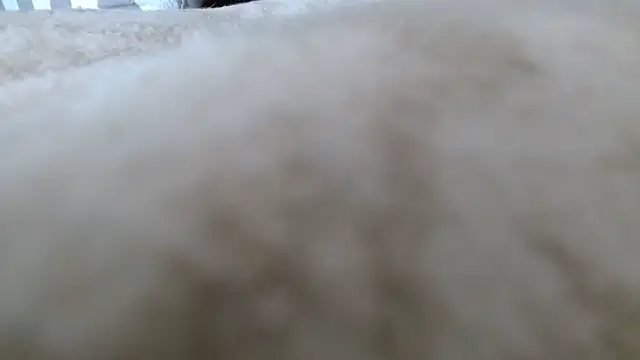 Heracles00 online show from 10.13.25