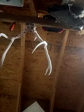 dcockell online show from 10.23.25