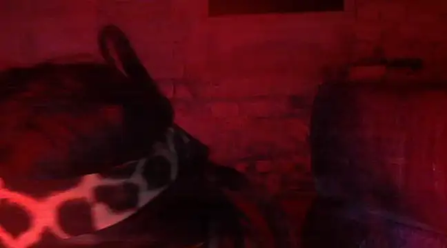 Snapshot of iva_spirit chatting on 02.09.25 iva spirit online show from 02.09.25