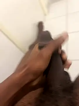 Snapshot of arrete2025 chatting on 11.19.25 arrete2025 online show from 11.19.25