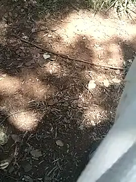 mehdi-l7away online show from 04.16.26