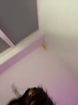 bonnie 18x online show from 02.26.25