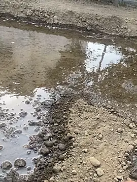 satrr xxx online show from 10.10.25