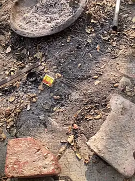 satrr xxx online show from 11.27.25