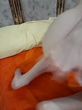 abyusif101099 online show from 02.25.25