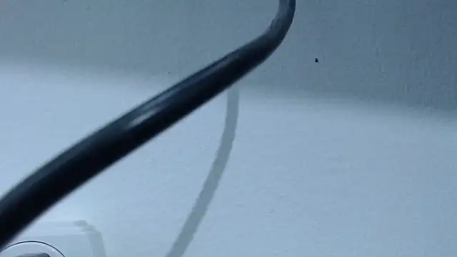 Hanna Fox 69 online show from 02.28.25