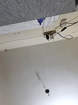 Snapshot of Neha8923 chatting on 03.13.25 Neha8923 online show from 03.13.25