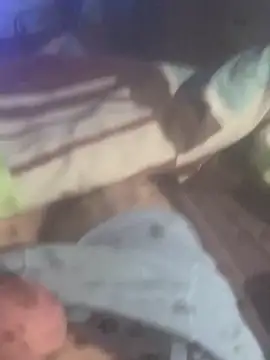 solomec online show from 11.19.25