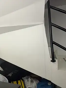 Annie9  online show from 11.29.25